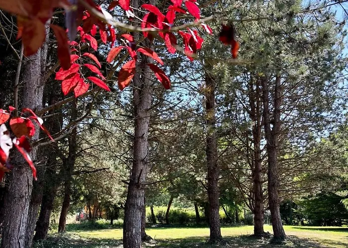 La Tourelle Avec Piscine Chauffée - 5 Mn De La Et Cabourg Périers-en-Auge